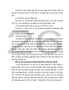 Định hướng và một số giải pháp để hoàn thiện công tác Kiểm toán Hàng tồn kho tại Công ty VAE.