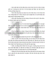 Định hướng và một số giải pháp để hoàn thiện công tác Kiểm toán Hàng tồn kho tại Công ty VAE.