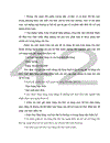 Định hướng và một số giải pháp để hoàn thiện công tác Kiểm toán Hàng tồn kho tại Công ty VAE.