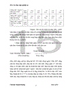 Thực trang hiệu quả sản xuất kinh doanh của công ty cổ phần bánh kẹo hải châu 2006-2008