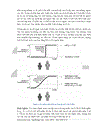 Suy diễn trong logic ngôn ngữ