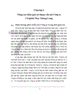 Giải pháp nâng cao hiệu quả sử dụng vốn tại Công ty Cổ phần May Thăng Long