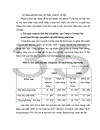 Một số giải pháp nhằm đẩy mạnh khả năng tiêu thụ sản phẩm của Công ty Cường Việt