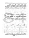 Một số biện pháp nhằm phát triển vận tải hàng không Việt Nam đến năm 2005 - 2010