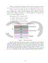 Web-based Geographic Information System