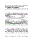 Qúa trình Hình thành phát triển và thực trạng của trung tâm thương mại và lữ hành quốc tế ánh Dương