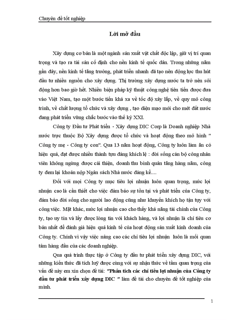 Phân tích các chỉ tiêu lợi nhuận của Công ty đầu tư phát triển xây dựng DIC