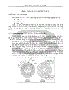 Macro Processor CD ROM