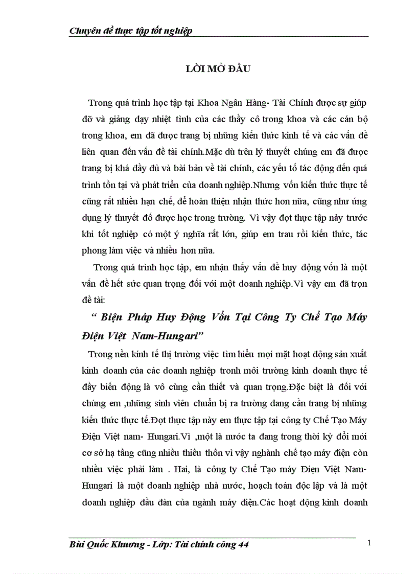 Biện Pháp Huy Động Vốn Tại Công Ty Chế Tạo Máy Điện Việt Nam Hungari 1