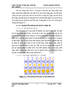 Thử nghiệm chuyển gen GFP trên gà Gallus gallus domesticus sử dụng vector pT2 BH CVpf SB11 bằng phương pháp chuyển gen qua tinh trùng và vi tiêm vào phôi gà 0 giờ ấp