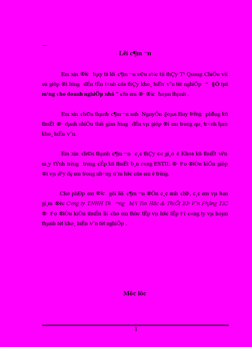 Báo cáo thực tập Đề tài mạng cho doanh nghiệp nhỏ