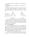 Sử dụng phương pháp Graph để dạy học phần di truyền học sinh học lớp 12 THPT