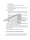 Báo cáo thực tập tổng hợp tại Công ty Cổ phần Quan hệ Quốc tế Đầu tư sản xuất