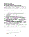 Một số giải pháp nâng cao hiệu quả tổ chức sử dụng vốn lưu động ở Công ty Gạch ốp lát Hà Nội 1