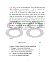 Thực trạng thị trường chứng khoán Việt Nam và giải pháp nâng cao hoạt động của thị trường này 1