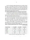 Đánh giá tình hình sản xuất và thị trường tiêu thụ một số loại rau vụ đông tại Phường Võ Cường thành phố Bắc Ninh tỉnh Bắc Ninh
