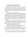 Đánh giá tình hình sản xuất và thị trường tiêu thụ một số loại rau vụ đông tại Phường Võ Cường thành phố Bắc Ninh tỉnh Bắc Ninh