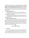 Đánh giá tình hình sản xuất và thị trường tiêu thụ một số loại rau vụ đông tại Phường Võ Cường thành phố Bắc Ninh tỉnh Bắc Ninh