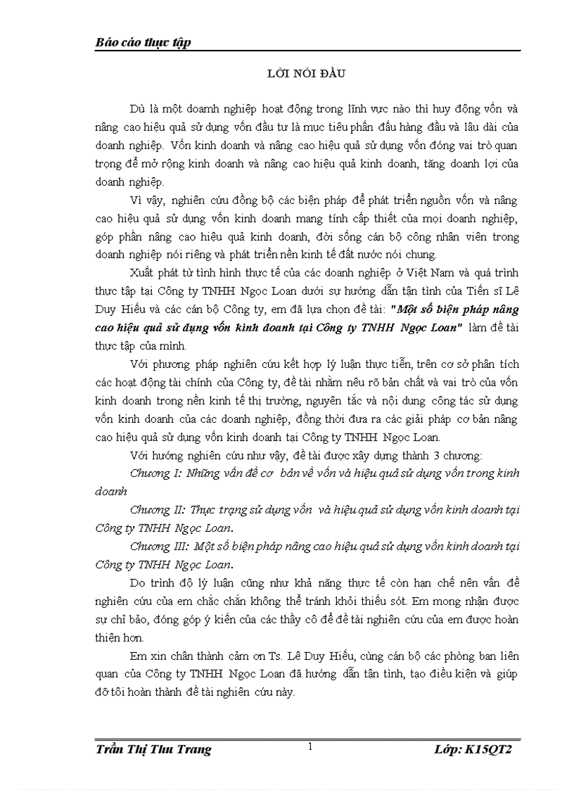 Một số biện pháp nâng cao hiệu quả sử dụng vốn kinh doanh tại Công ty TNHH Ngọc Loan 1