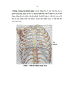 Nghiên cứu ứng dụng phẫu thuật nội soi lồng ngực trong chẩn đoán và điều trị chấn thương ngực