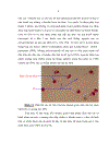 Đặc điểm sinh học phân tử của Haemophilus influenzae typ b Hib phân lập từ bệnh nhi viêm màng não mủ dưới 5 tuổi và trẻ khỏe mạnh tại Nhà trẻ Mẫu giáo