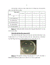 Đặc điểm sinh học phân tử của Haemophilus influenzae typ b Hib phân lập từ bệnh nhi viêm màng não mủ dưới 5 tuổi và trẻ khỏe mạnh tại Nhà trẻ Mẫu giáo