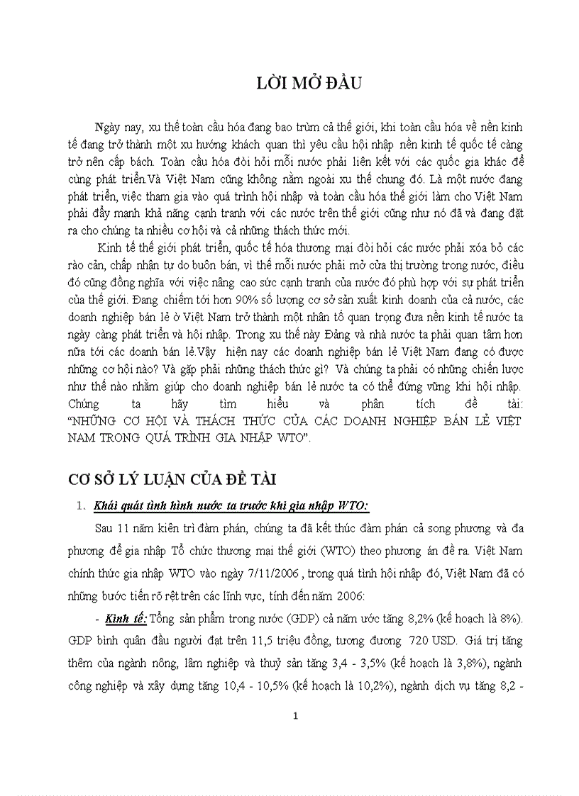 Những cơ hội và thách thức của các doanh nghiệp bán lẻ việt nam trong quá trình gia nhập wto