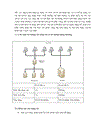 Công nghệ cân băng tải server