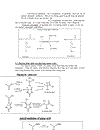 Sinh tổng hợp amino acid kèm ppt báo cáo