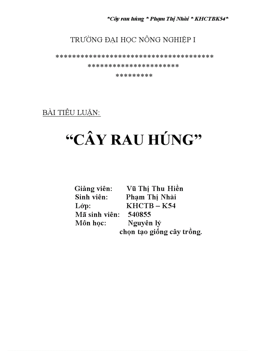 Cây rau húng