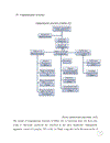 Báo cáo tiếng anh Ngoại thương Strategies of human resource development of MISA JSC