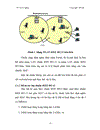 Công nghệ WLAN