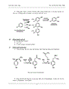 Tổng quan về các acid amin mạch vòng