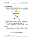 Tổng quan về các acid amin mạch vòng