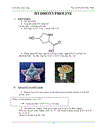 Tổng quan về các acid amin mạch vòng