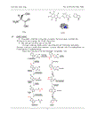 Tổng quan về các acid amin mạch vòng