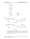 Carotenoids và Vitamin A