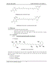 Carotenoids và Vitamin A