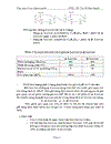 Tổng quan về các Oligosaccharide OS