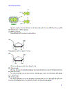 Quá trình sinh tổng hợp protein