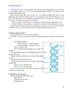 Quá trình sinh tổng hợp protein