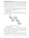 Công nghệ sản xuất dextran