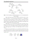 Công nghệ sản xuất dextran