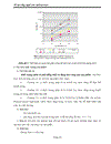 Công nghệ sản xuất dextran