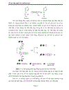 Công nghệ sản xuất dextran