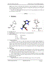 Tổng quan về các acid amin không thay thế