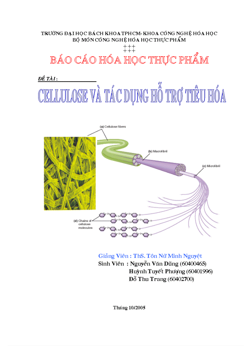 Cellulose và tác dụng hỗ trợ tiêu hóa