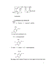 Tổng quan về antivitamin