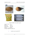 Công nghệ sản xuất Lysine