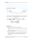 Tổng quan về phospholipide